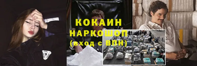 гидра ссылки  Буй  COCAIN Fish Scale  купить  сайты 